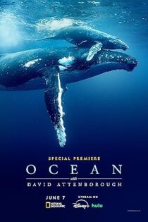 دانلود فیلم Ocean with David Attenborough 2025 بدون سانسور دانلود فیلم Ocean with David Attenborough 2025 بدون سانسور