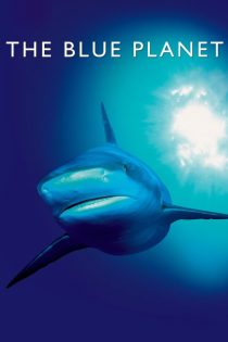 دانلود سریال The Blue Planet بدون سانسور دانلود سریال The Blue Planet بدون سانسور